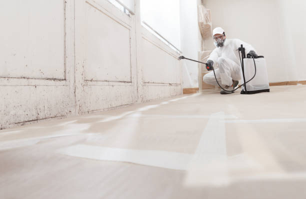 24/7 Emergency Mold Remediation experts in Coburn, PA