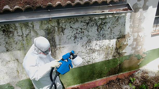 Top rated local Mold Remediation specialists in Coburn, PA